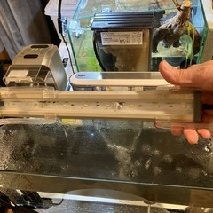 水槽セット初心者お子様向けお値段お下げさせて頂きました。の画像