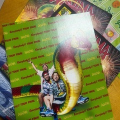 WANIMA ライブDVDの画像