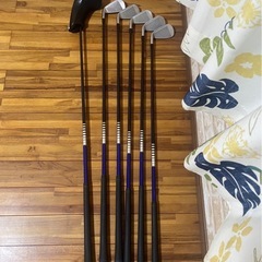 【即決可】ツアーステージVIQの画像