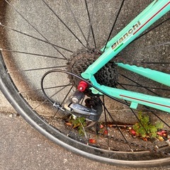 ビアンキ
の画像