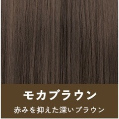 ☆現金払い可能☆ 【新品未開封品】clayence クレイスパカラートリートメント〈モカブラウン〉の画像