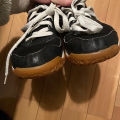 アシックス　バレーボール　スニーカー　25cmの画像
