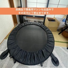 トランポリン トレーニング エクササイズ フィットネス 自宅 室内 大人 子供の画像