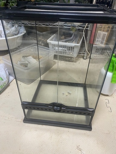 爬虫類ケージ