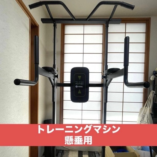 ⚫︎オンライン決済⚫︎HAIGE ハイガー ぶら下がり健康器 懸垂マシン プラップバー