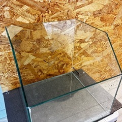 引取限定‼️30cm水槽　GEXエキゾテラ 前面斜めカット　テラリウム水槽　おススメ❣️ 割れ/欠けなし⭕️ まとめて購入大歓迎🈂️の画像