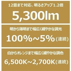 パナソニック LEDシーリングライト 照明　調光・調色タイプ リモコン付 ~12畳 ライトナチュラル仕上枠 HH-CE1229AZの画像