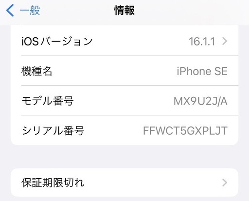 iPhoneSE  64GB