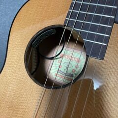 aNueNue aNN-MN14E エレガットトラベルギター（美品）の画像