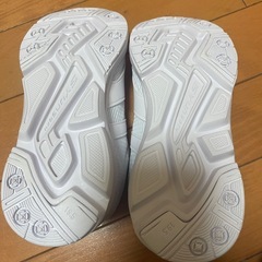 瞬足　19.5の画像