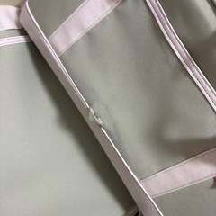 トリアティ高級ペットキャリー セット　グリーンの画像