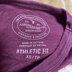 アメリカンイーグル、ヒルガーデニムの画像