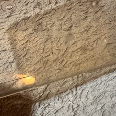 当時物　バイク　ナンバーカバー　ナンバーフレーム　2輪の画像