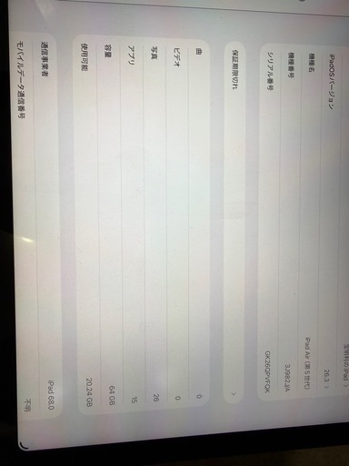 iPad