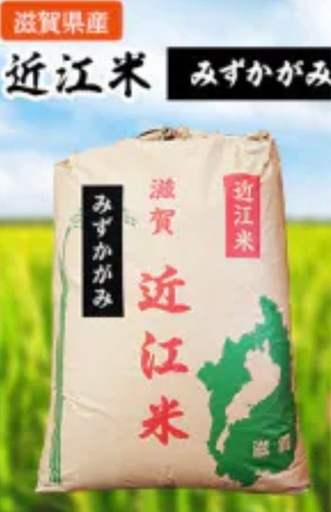 新規お問い合わせ終了【お米】みずかがみ 玄米３０キロ 冷蔵庫保管分