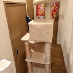(引き取りに来れる方)ハンモック付きキャットタワーの画像