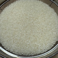 あきたこまち10kg（令和7年度岩手県産）
の画像