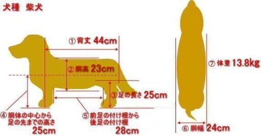 犬用4輪車椅子 歩行器 8㎏以上 15㎏未満 オーダーメイド