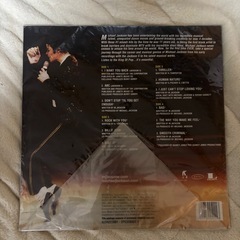 【✨早い者勝ち激レア‼️‼️‼️】The Essential Michael Jackson レコードの画像