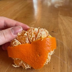 ダイエット仲間募集！