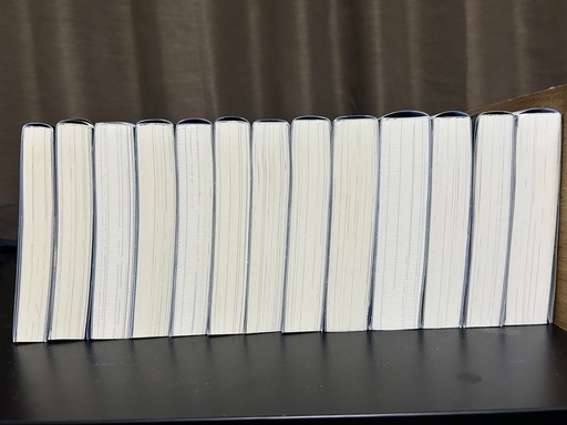 リビルドワールド　小説　13冊