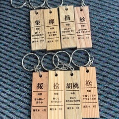 ヒノキストラップ材｜ワークショップ・レーザー加工用素材の画像