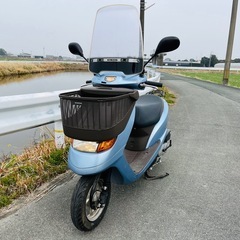 ☆HONDA☆DIO Cesta50☆4サイクル☆キャブレター☆軽メンテ済み☆足代わりにどうですか？☆の画像