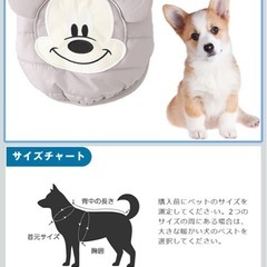 犬ウェアの画像