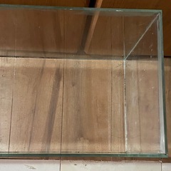 大阪　ADA ガラス水槽 水槽 ガラス　60cm 600 30cm 300 36cm 360 adaの画像