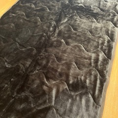 CAINZ敷きパッド （未使用）の画像