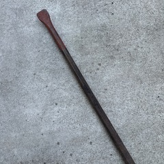 【お取引決定】大型テコバールの画像