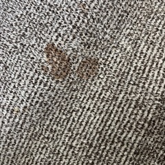 カーペット　　ラグ　200×240の画像