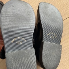 17cm セレモニーの画像