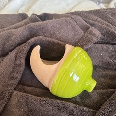 どんぐり　ハムスター巣の画像