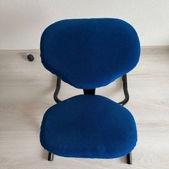 バランスチェアの画像