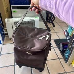 SWANY ショッピングカート キャリーバッグ 茶色の画像