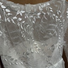 レース刺繍ドレスの画像