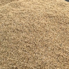 籾殻　もみ殻の画像