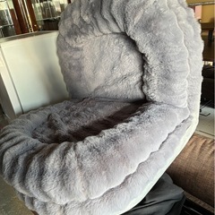 とろふわソファベッドの画像