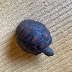 亀の置物の画像