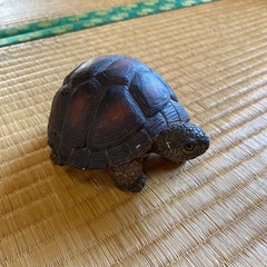 亀の置物の画像