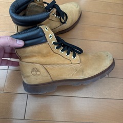 ティンバーランドの画像