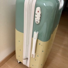 【3/4まで！】キャリーケースの画像