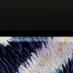 4K有機ELテレビ 55インチ SONY ジャンク品の画像