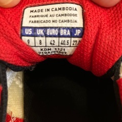 室内シューズ27センチ　ミズノの画像