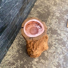 天然木 一点物 灰皿オブジェ 高さ77cm 無垢材 インテリア 店舗ディスプレイの画像