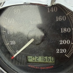 XL1200Lハーレースポーツスター お値段相談可の画像