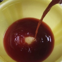 🅿️Ｓ🅱️春💐メダカ飼育.最強液体＊バクテリア《500ml=⒉本 》の画像