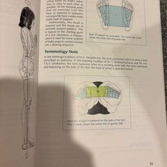 ヨガアナトミー 解剖学の画像