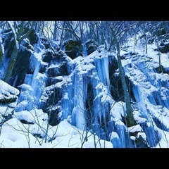 旅行のお手伝いしてくれませんか？